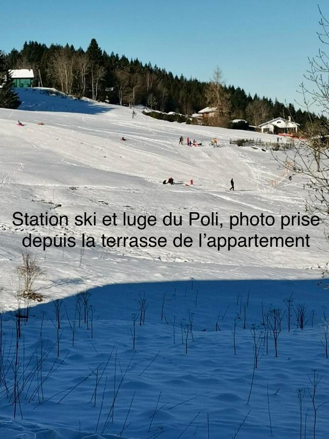 Appt 3* Le Haut Des Lacs Xonrupt-Longemer Exteriér fotografie