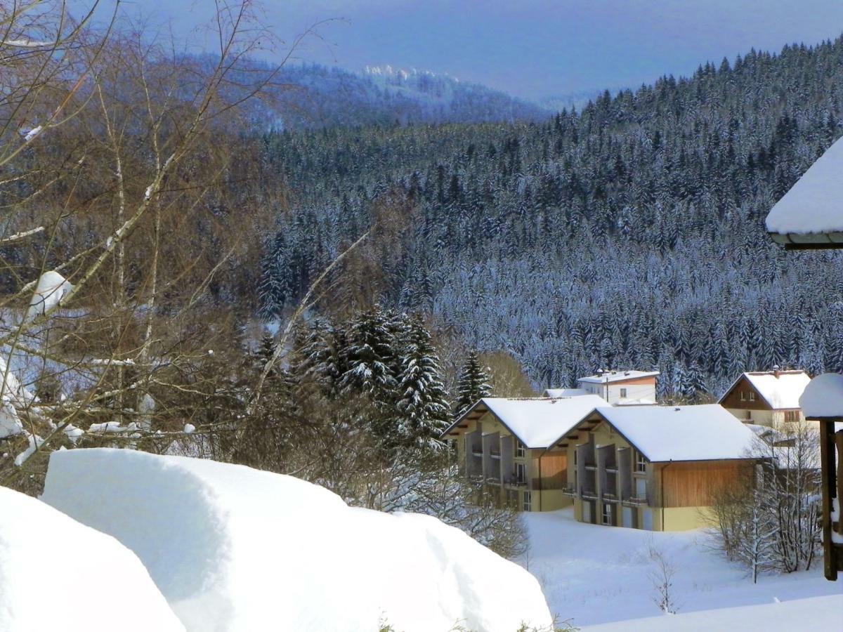 Appt 3* Le Haut Des Lacs Xonrupt-Longemer Exteriér fotografie